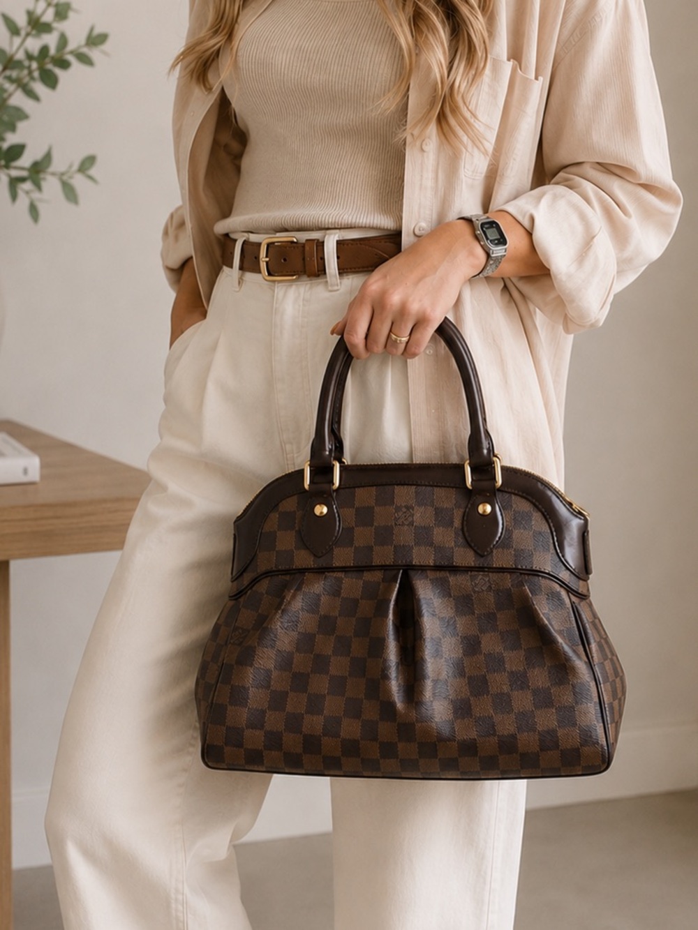 Authentic Louis Vuitton Trevi PM Damier Ebene Bag | Entrupy Certified